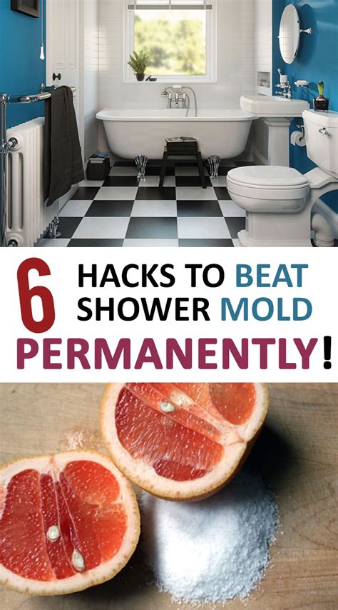 6 Hacks to Beat Shower Mold-Permanently! - Sunlit Spaces