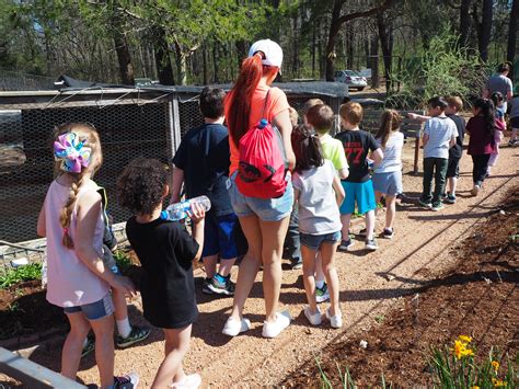 Spring Field Trip At The Botanical Garden Of The Ozarks Field Trip