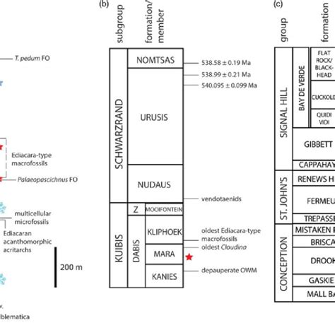 Colour Online Simplified Schematic Regional Stratigraphy Of The Units