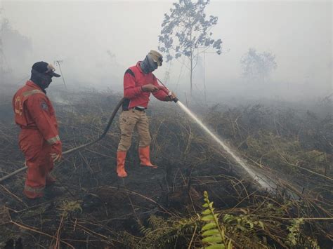 39 Hotspot Di Sumatera 19 Titik Ditemukan Di Riau