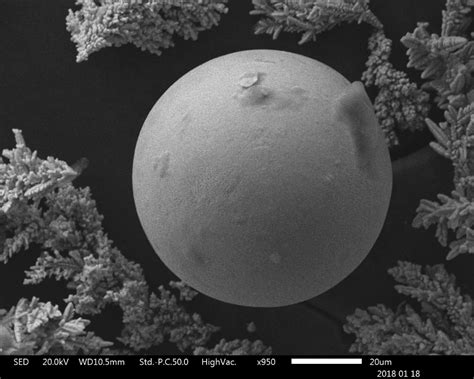 Scanning Electron Microscope, Scientific, Inspiration, Biblical ...