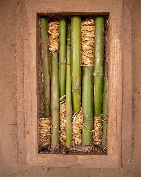 Pin De Rosa Maria Padilla Frausto En Bioconstruccion Bioconstruccion