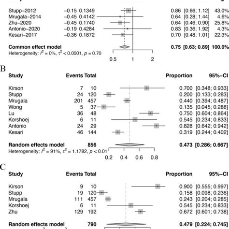 A Effect Of Tumor Treating Fields On Recurrent Glioblastoma B The