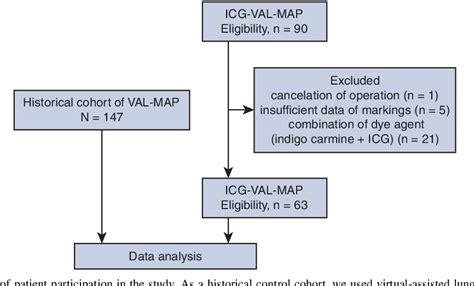 Figure 2 From Improved Visualization Of Virtual Assisted Lung Mapping