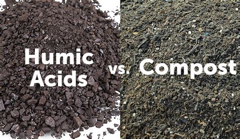 Humic Acids Vs Compost FertilGold