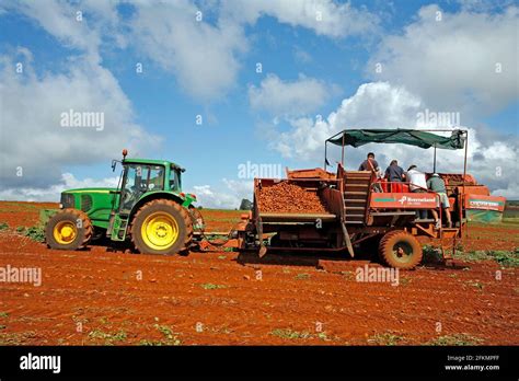 Potato harvesting machine hi-res stock photography and images - Alamy