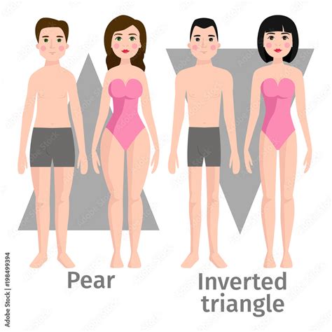 Vector illustration of different body shape types characters standing ...