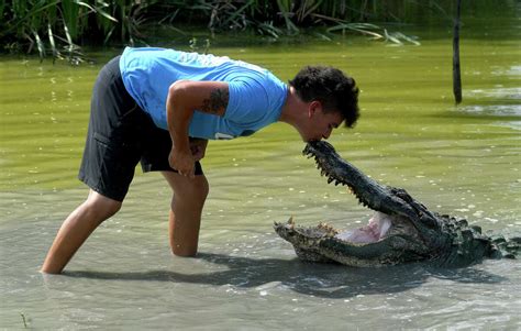 Meet Big Al The Legendary Alligator From Gator Country Adventure Park