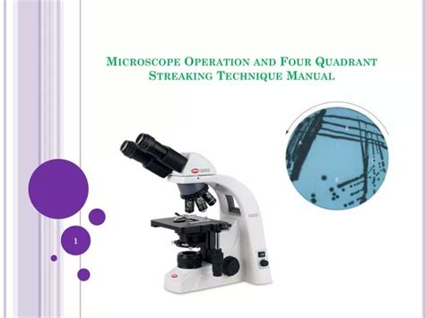 Ppt Microscope Operation And Four Quadrant Streaking Technique Manual