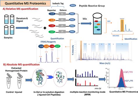 General Workflow For Quantitative Mass Spectrometry Based Translational