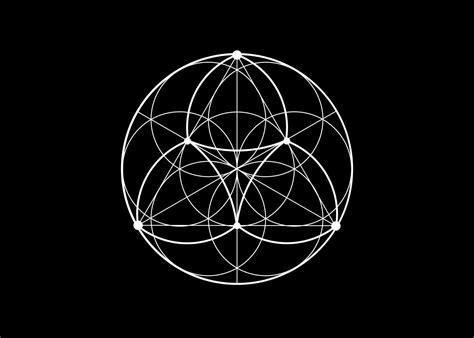 Seme Fiore Della Vita Icona Di Loto Yantra Mandala Geometria Sacra