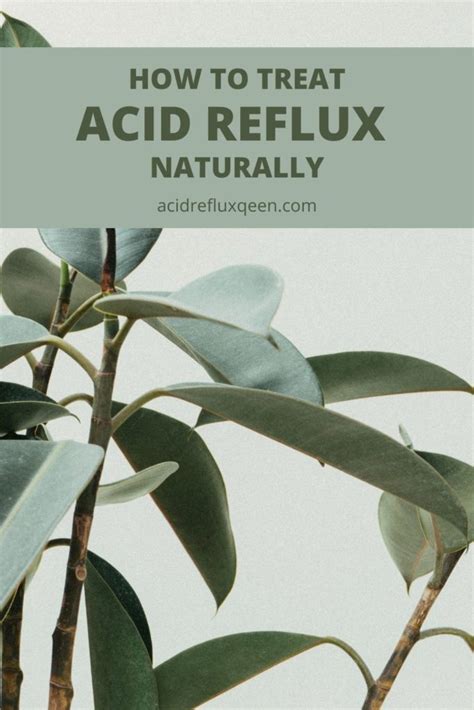 How To Treat Acid Reflux Naturally Simply Noel