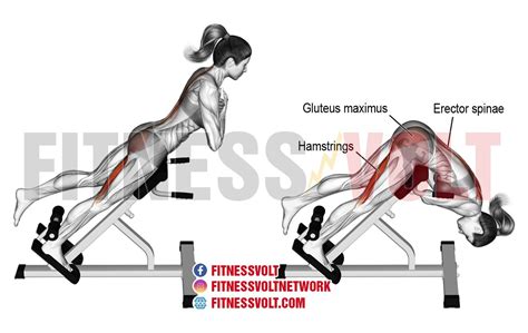 One-Leg Hyperextension: Sculpt Your Glutes and Strengthen Back ...