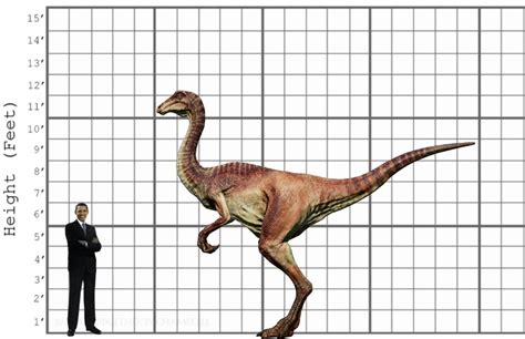 My Gallimimus size comparison by EthanThomas2022 on DeviantArt