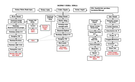 Pathway Cedera Kepala Pdf