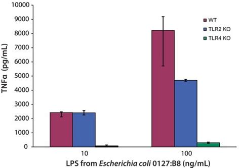 Lipopolysaccharides From Escherichia Coli Sigma Aldrich