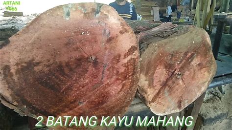 Amazing Wood Sawmill 2batang Kayu Mahang Besar Simak Terus Gaess