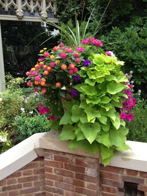 8 Stunning Container Gardening Ideas Home And Garden