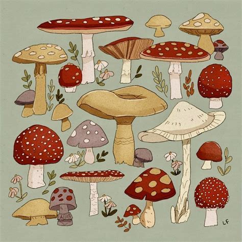 Aesthetic Mushroom Drawing ~ #mushroom's Art On Tumblr | Bodolawasuty