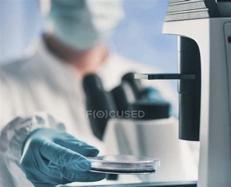 Microbiologist Using Light Microscope While Holding Petri Dish In Lab