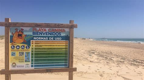 Cinco Playas Cerca De Jerez Para Pasear A Tu Perro