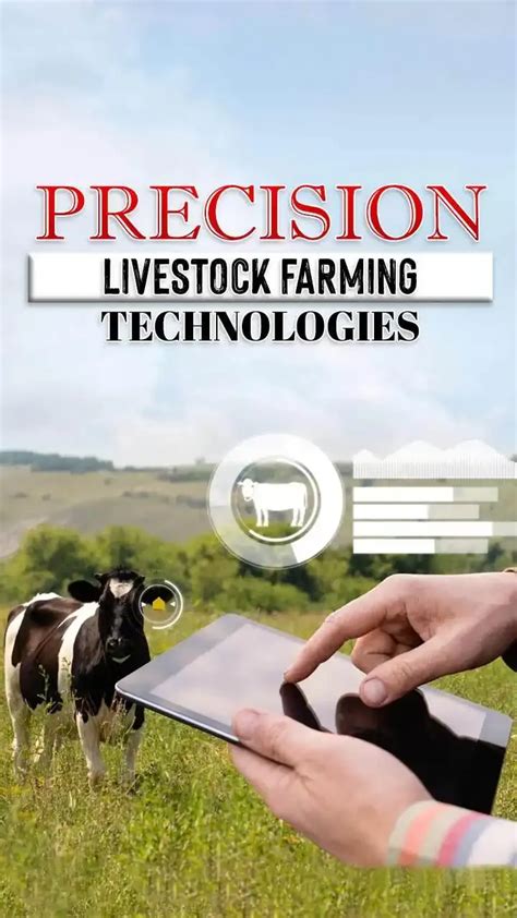 Explore The Future Of Agriculture With Precision Livestock Farming