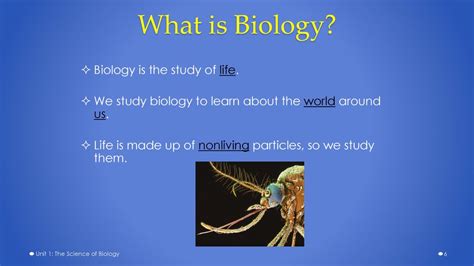 An Introduction To Biological Concepts Ppt Download