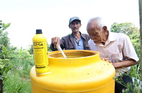 Pertanian Organik Berbasis Em Lahan Jadi Subur Pertanian Berkelanjutan