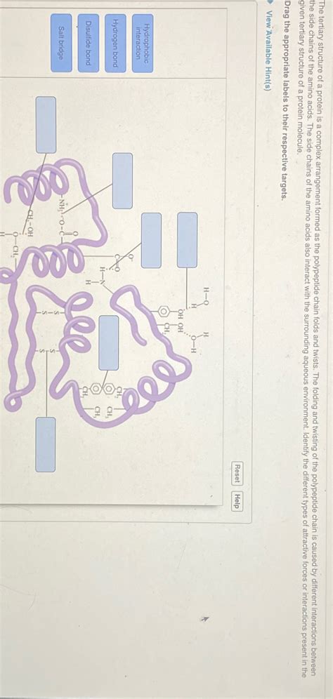 Solved The tertiary structure of a protein is a complex | Chegg.com