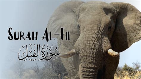 Memorise Surah Al Fil The Elephant By Listening To This By Sheikh