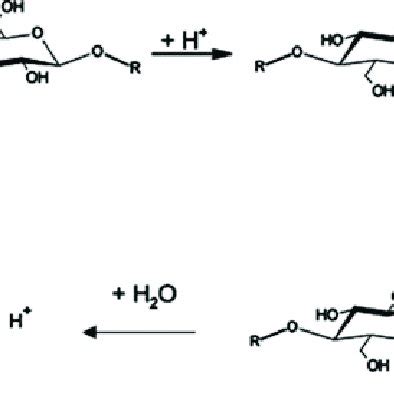 Mechanism of acid hydrolysis of cellulose | Download Scientific Diagram