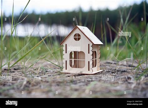 Miniature Wooden House Outdoor Nature Real Estate Concept Modern Housing Eco Friendly Energy