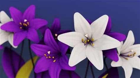 4k Looped Flowers Stock Video Envato Elements