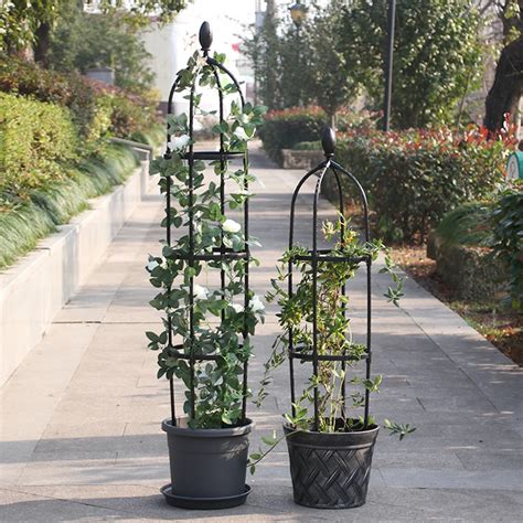 Garden Tomato Support Cages Climbing Plant Trellis Flower Climbing Frame Climbing Aliexpress