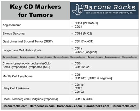 Key CD Markers For Tumors