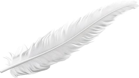 Close-Up of a White Feather. 47067423 PNG