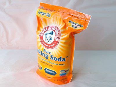 The Effectiveness of Using Baking Soda for Bed Bugs in Australia 2024