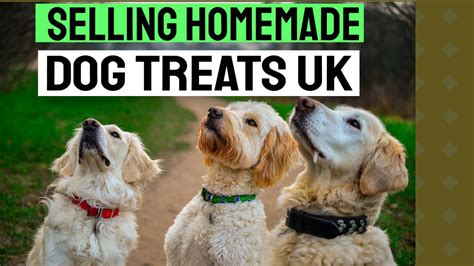 🆕selling Homemade Dog Treats Uk Whats It Like To Start A Dog Bakery