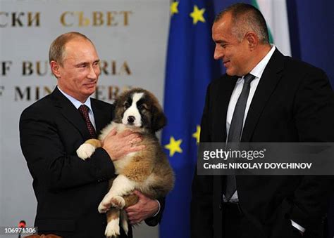 329 Vladimir Putin Dog Stock Photos, High-Res Pictures, and Images ...