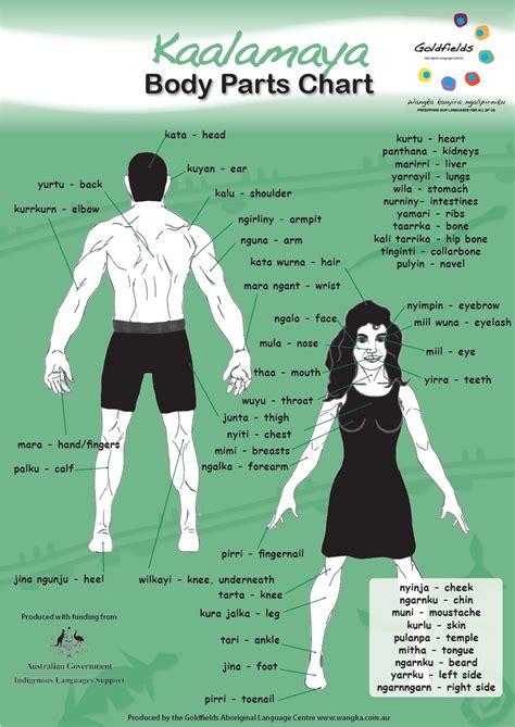 New Alphabet and Body Part Charts – Goldfields Aboriginal Language Centre