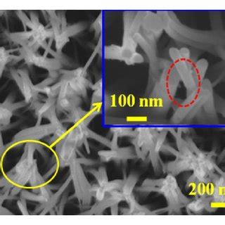 A Top View And B Side View Sem Images Of Zno Nws Grown On The