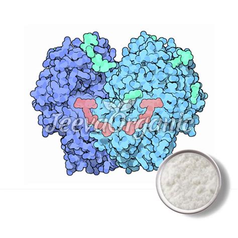 Bulk Glucose Oxidase Powder Supplier