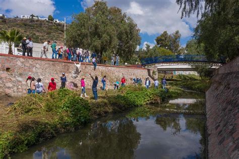 Realizan Segunda Jornada De Limpieza En El Marqu S Juntos Por Un R O