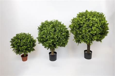 Artificial Buxus Ball London Planters