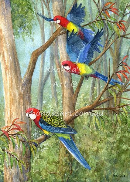 Eastern Rosella Flight — Rhondas Art