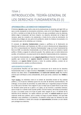 Constitucional Derechos Fundamentales Completo Pdf