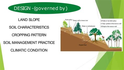 PRACTICAL AND DESIGN ASPECTS OF TERRACING (2)-4.pptx