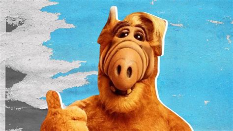 Conoce El Verdadero Significado De Alf Panorama Hoy