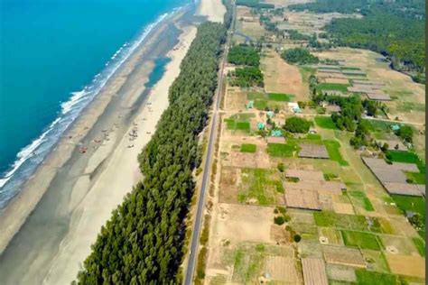 thousands  trees felled  marine drive expansion  coxs bazar