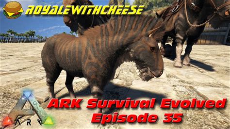 Ark Survival Evolved E35 Perfect Tame Equus Breeding Youtube